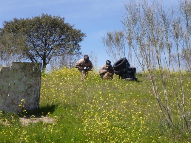 Paintball en campo natural